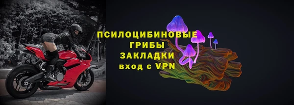 ПСИЛОЦИБИНОВЫЕ ГРИБЫ Алексин