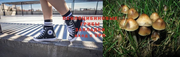 герыч Алзамай