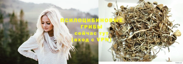 ПСИЛОЦИБИНОВЫЕ ГРИБЫ Алексин