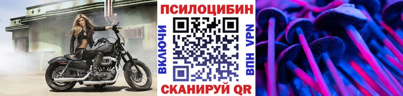 Галлюциногенные грибы Psilocybine cubensis  Мураши 